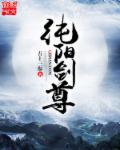 純陽劍尊小說封面