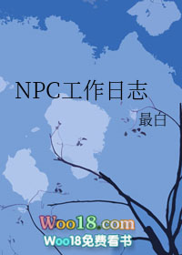 NPC工作日志封面